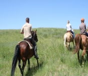 Montana2008 554